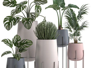 piante decorative in vaso per interni 547 Modello 3D