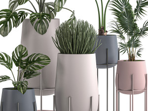 decorative plants in pots for the interior 547 3D 模型