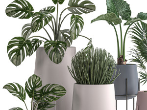 decorative plants in pots for the interior 547 3D 模型