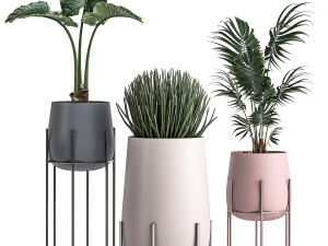 decorative plants in pots for the interior 547 3D 模型