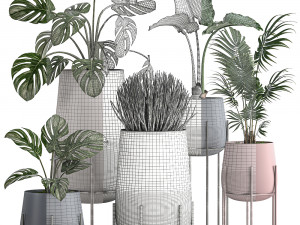 decorative plants in pots for the interior 547 3D 模型