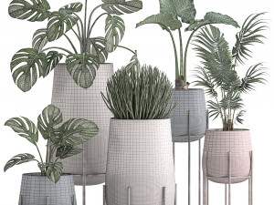 decorative plants in pots for the interior 547 3D 模型