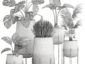 decorative plants in pots for the interior 547 3D 模型