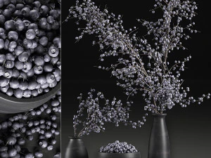 decorative bouquet blueberry tree in pots for the interior 547 3D Model