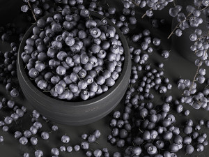 decorative bouquet blueberry tree in pots for the interior 547 3D Model