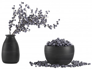 decorative bouquet blueberry tree in pots for the interior 547 3D Model