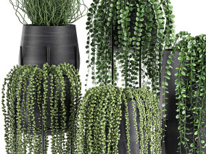 succulents in a flowerpot for interior design 549 3D Model