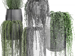 succulents in a flowerpot for interior design 549 3D Model