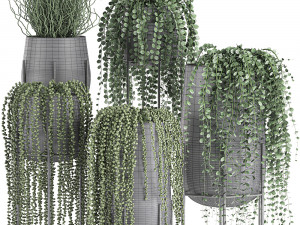 succulents in a flowerpot for interior design 549 3D Model