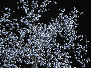 decorative bouquet of branches with blueberries in a vase 95 Model 3D