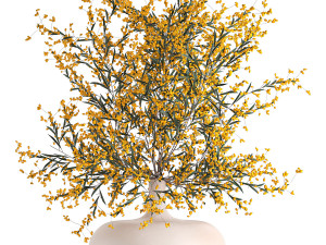 decorative bouquet of branches with yellow berries in a vase 96 3D Model