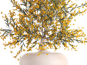 decorative bouquet of branches with yellow berries in a vase 96 3D Model