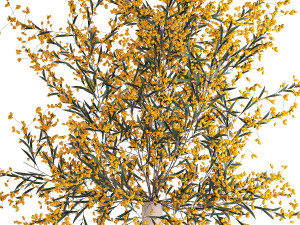 decorative bouquet of branches with yellow berries in a vase 96 3D Model