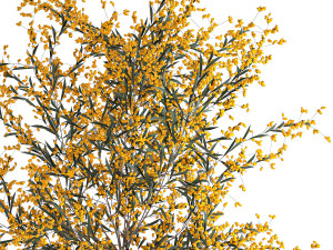 decorative bouquet of branches with yellow berries in a vase 96 3D Model