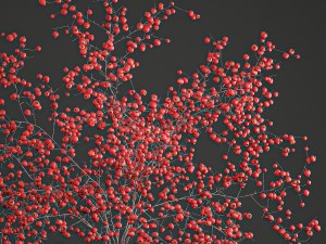 decorative bouquet of branches with red berries in a vase 97 3D-Modell