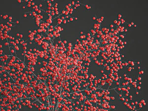 decorative bouquet of branches with red berries in a vase 97 3D Model