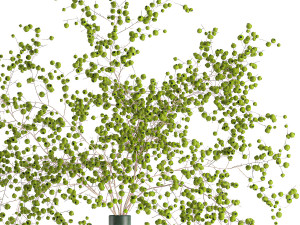decorative bouquet of branches with green berries in a vase 99 Model 3D
