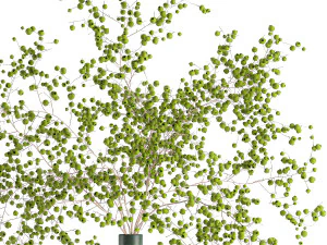buqu&ecirc; decorativo de galhos com frutas verdes em um vaso 99 Modelo 3D
