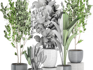 decorative plants in pots for the interior 550 3D Model