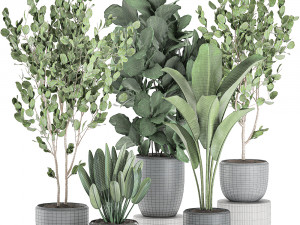decorative plants in pots for the interior 550 3D Model