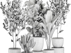 decorative plants in pots for the interior 550 3D Model