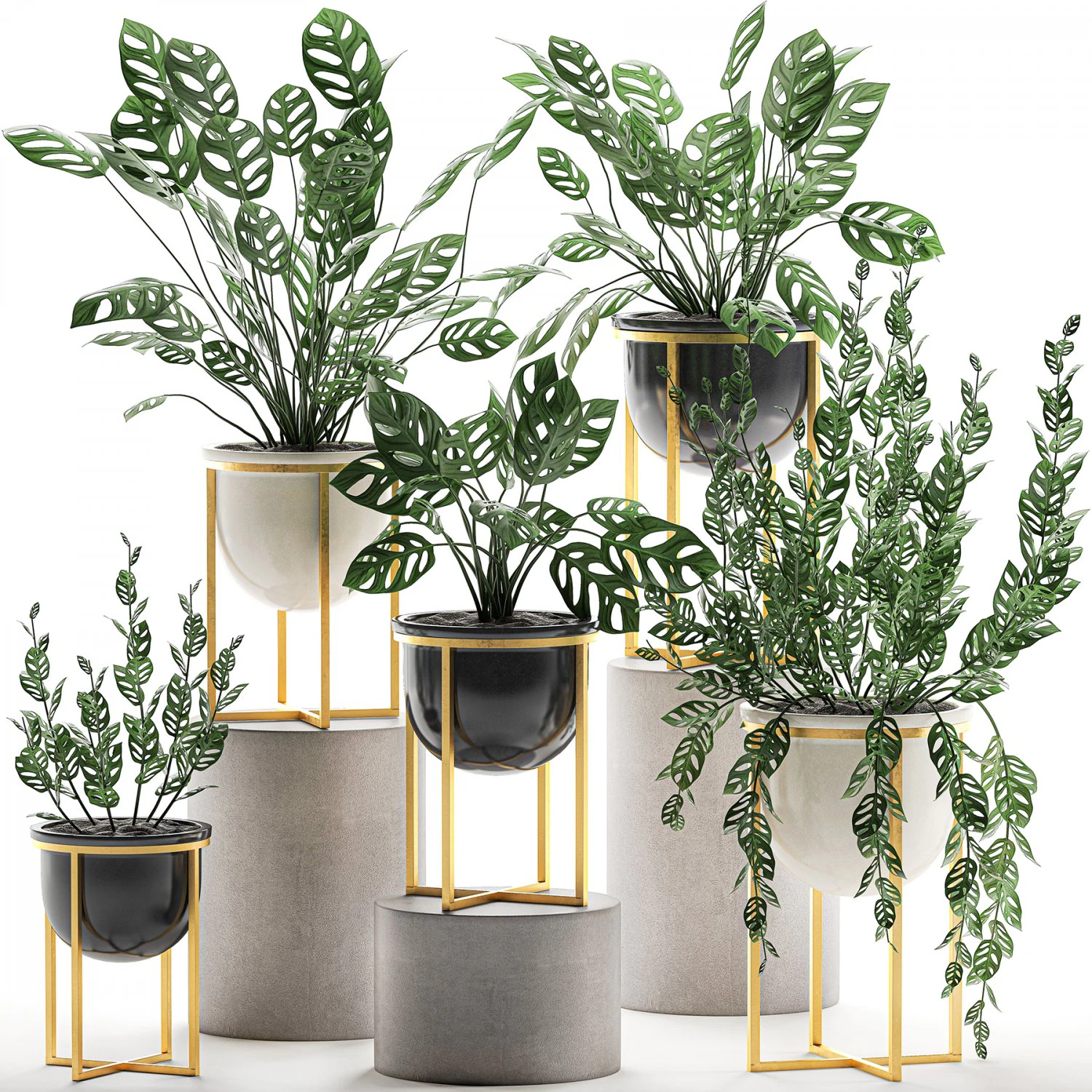 decorative plants in pots for the interior 551 3D Model .c4d .max .obj .3ds .fbx .stl .blend 