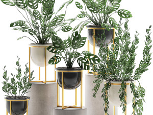 decorative plants in pots for the interior 551 3D-Modell