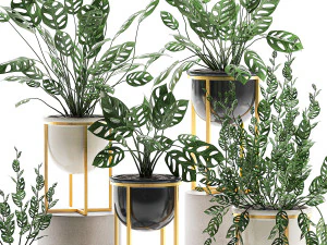 decorative plants in pots for the interior 551 3D Model