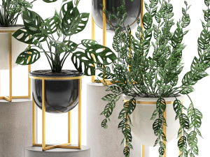 decorative plants in pots for the interior 551 3D Model