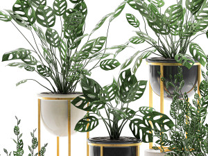 decorative plants in pots for the interior 551 3D 模型