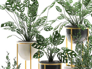 decorative plants in pots for the interior 551 3D Model