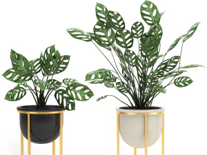 decorative plants in pots for the interior 551 3D Model