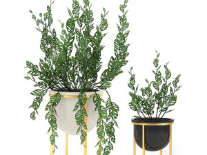 decorative plants in pots for the interior 551 3D 模型