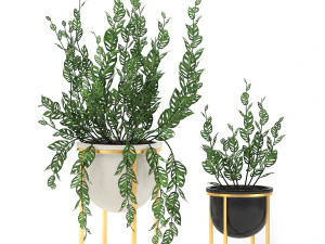 decorative plants in pots for the interior 551 3D Model