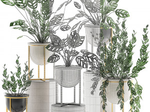 decorative plants in pots for the interior 551 3D 模型