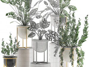 decorative plants in pots for the interior 551 3D Model