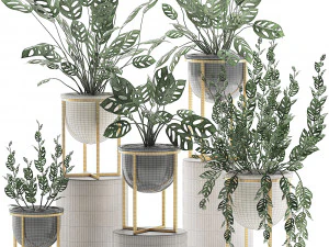 decorative plants in pots for the interior 551 3D Model