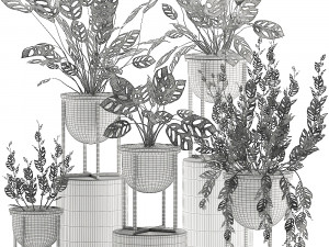 decorative plants in pots for the interior 551 3D 模型