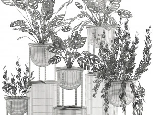 decorative plants in pots for the interior 551 3D Model