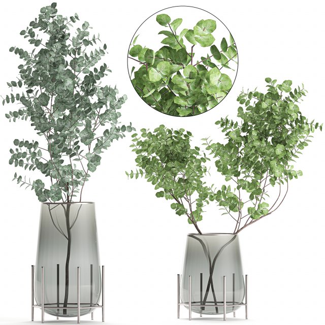 bouquet of eucalyptus branches in a vase 100 3D Model .c4d .max .obj .3ds .fbx .stl .blend 