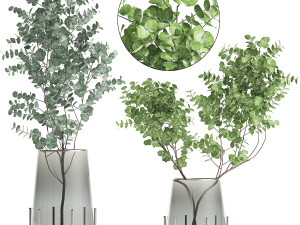 bouquet of eucalyptus branches in a vase 100 Model 3D