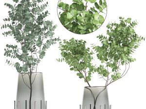 buket ranting kayu putih dalam vas 100 Model 3D