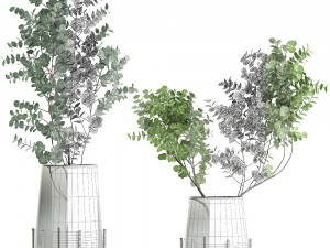 bouquet of eucalyptus branches in a vase 100 3D Model