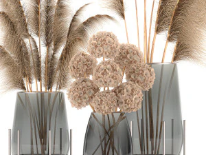 bouquet of dried flowers in a vase 101 3D Model