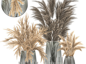 bouquet of dried flowers in a vase 102 3D Model