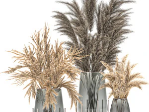 bouquet of dried flowers in a vase 102 3D Model