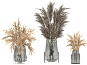 bouquet of dried flowers in a vase 102 3D Model
