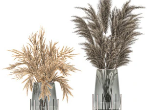 bouquet of dried flowers in a vase 102 3D Model