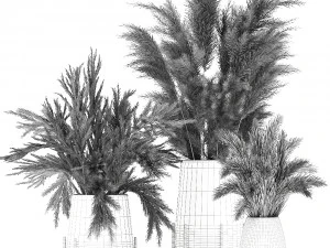 bouquet of dried flowers in a vase 102 3D Model