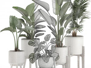 decorative plants for the interior in white pots 557 3D Model